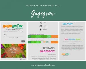 Belanja Sayur Online di Solo Gagegrow