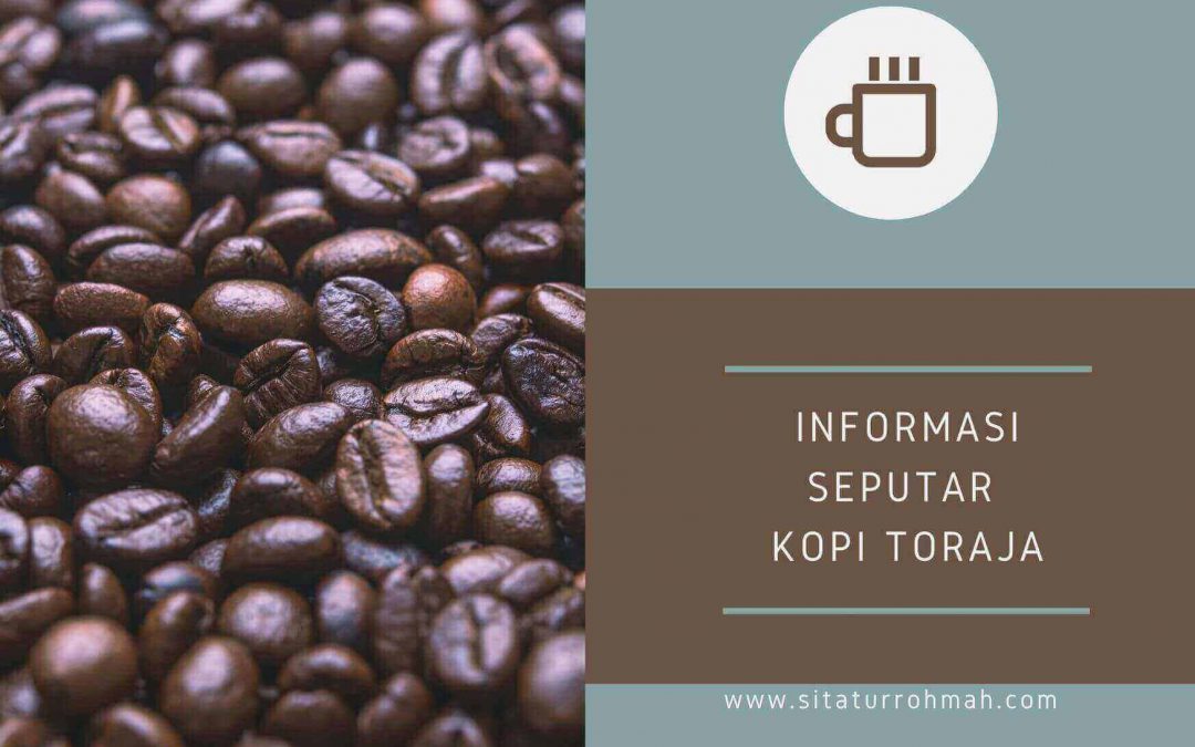 informasi seputar kopi toraja