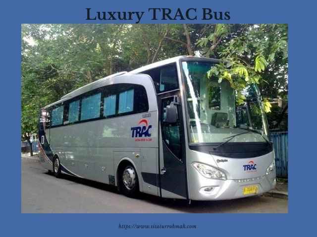 sewa bus luxury