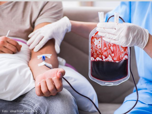 Manfaat Donor Darah untuk Wanita